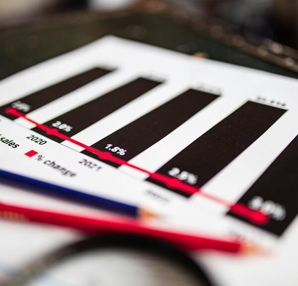 Identity Report on 703-997-8382 Number