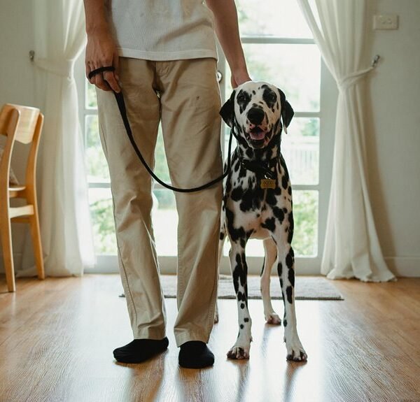 trust review for caller