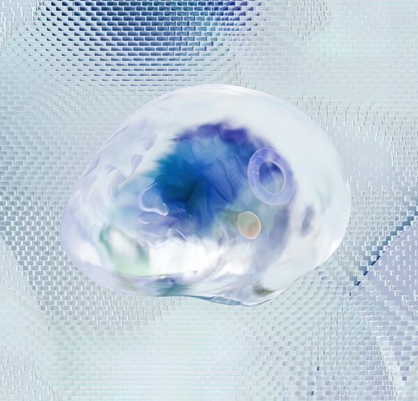 apex orbit neural matrix