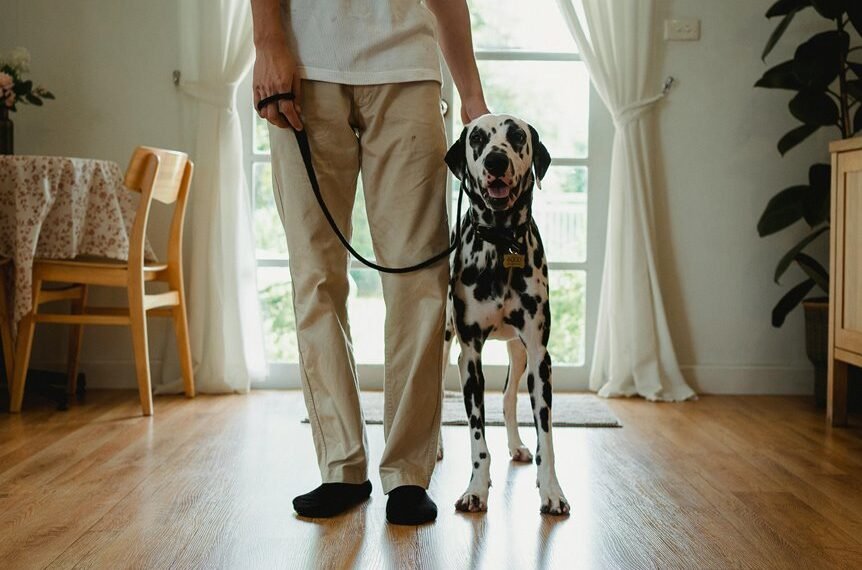 caller behavior analysis summary