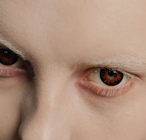 contact details overview provided