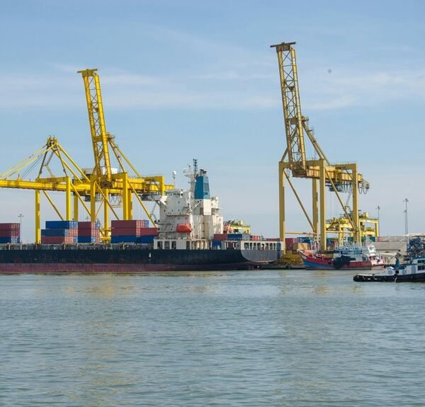 harborbridge voice hub contact