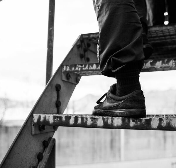 luminous edge ladder brand