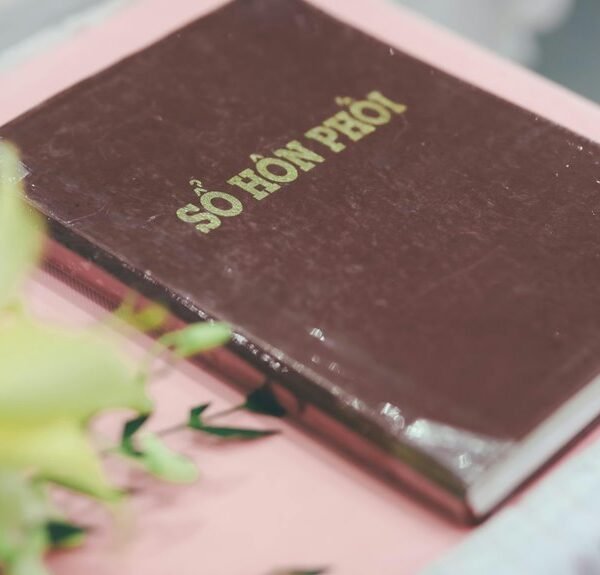 network details and feedback